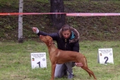 NVP Jelenia Gora V1,CAJC,BOJ